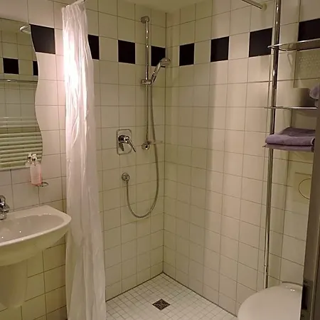 Hotel Restaurant Roessle 3*