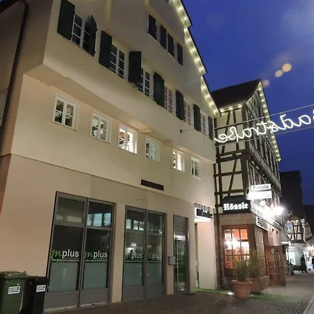 Hotel Restaurant Roessle 3*