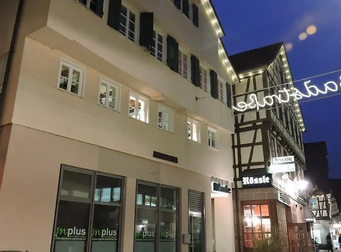 Hotel Restaurant Roessle 3*